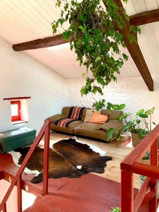 Bergerie Geldi Leku Villa Saint-Jean-le-Vieux  Ngoại thất bức ảnh